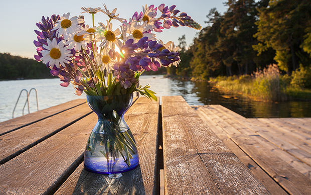 Vas med blommor på en brygga.