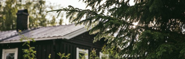Svart hus med vita fönsterkarmar med en gran i förgrunden