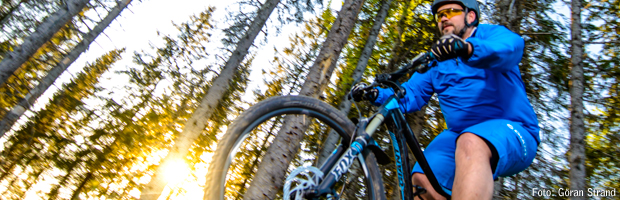 Cyklist i skogen i solnedgång