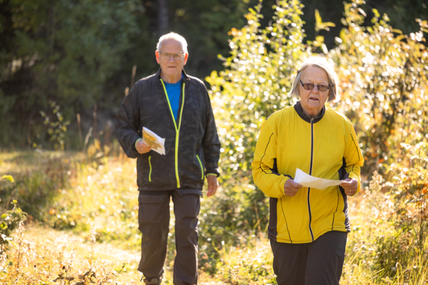 Två äldre personer orienterar i skogen en solig dag, båda med karta i handen.