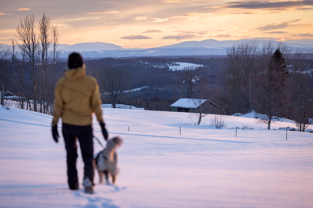 person som går i naturen med sin hund, i bakgrunden fjäll och vintermiljö
