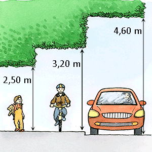 Illustration: Fri höjd över gångbana, cykelbana och körbana