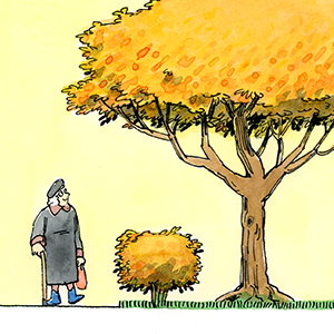 Illustration: Äldre buskar och träd