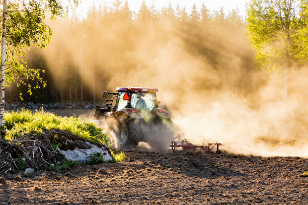 Traktor harvar åker i motljus. Det ryker damm.