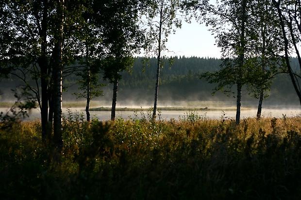 tunnbröd i vedeldad ugn