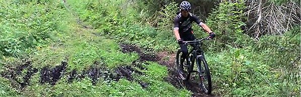 Bild på en cyklist i skog. 