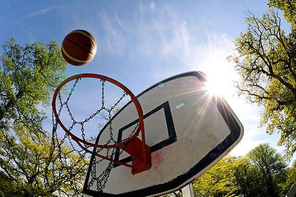 En basketkorg i solskenet