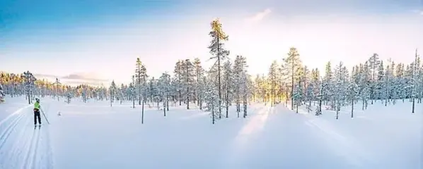 Snöklädd myr med två parallella skidspår