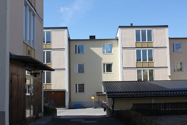 Gullvivan och Nejlikan