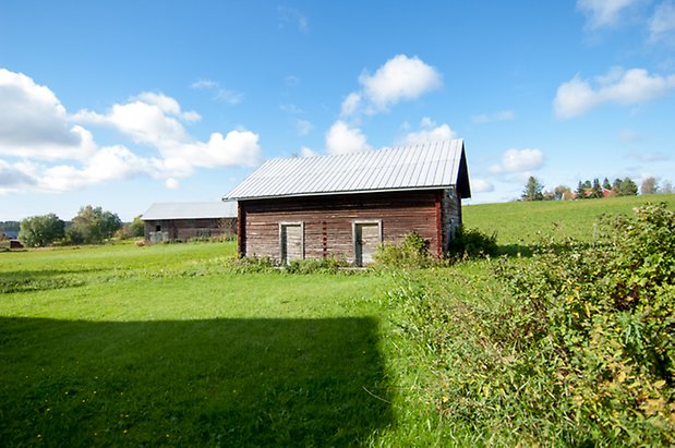 Husås 3:50. Timrad går byggnad med två dörrar på en äng.