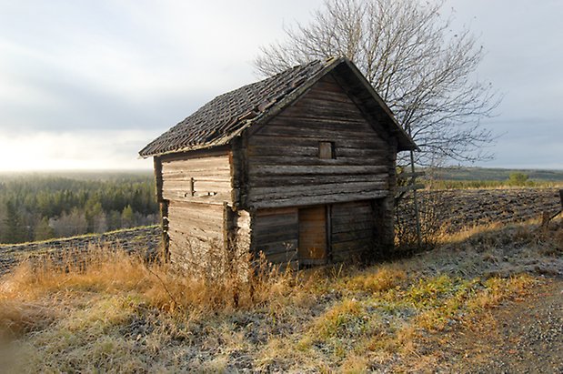 Klocksåsen 1:2. Grått, timrat härbre.