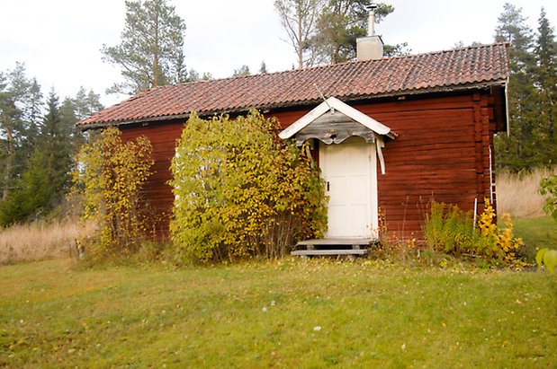 Sinnberg 2:17. Röd, timrad stuga med vit dörr och ett fönster dolt bakom sly.