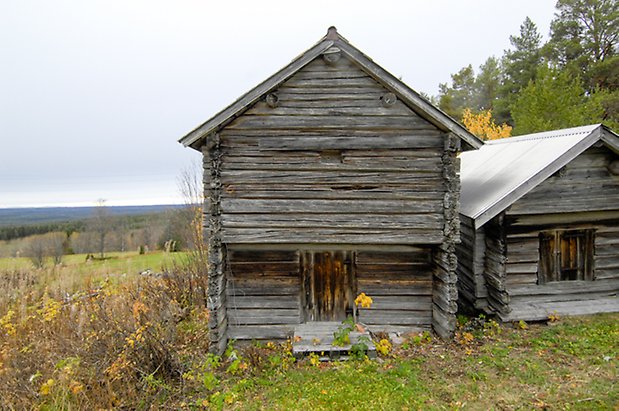 Andersgård 3:1. Grått, timrat härbre.