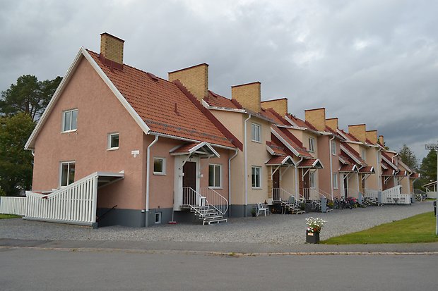 Fjällämmeln