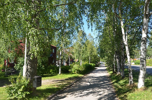 Miljöbild i gamla Lugnvik