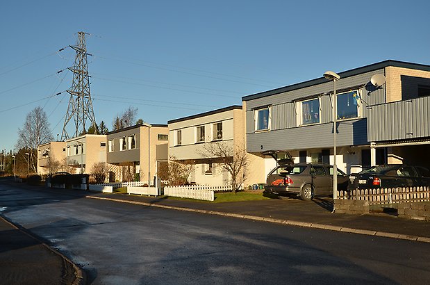 Kvarteren Kantarellen, Lärksoppen med flera