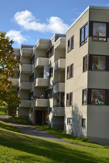 Doktorn och Förvaltaren B