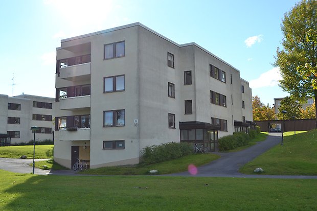 Doktorn och Förvaltaren C