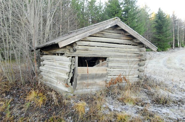 Lockne-Berge 1:2. Byggnad i grått timmer med lucka igensatt av brädor, i ett skogsbryn.