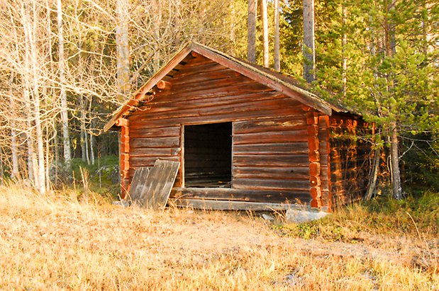 Lockne-Berge 1:2. Byggnad i rött timmer med öppen lucka i ett skogsbryn.