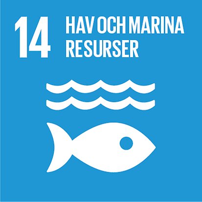 Mål 14 globala målen: Hav och marina resurser 