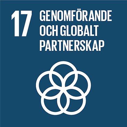 Mål 17 globala målen: Genomförande och globalt partnerskap