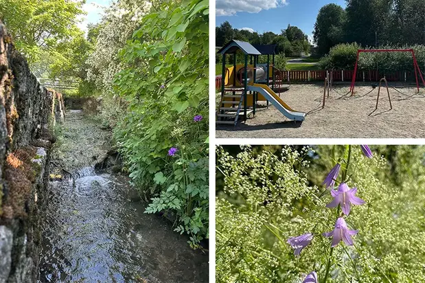 Kollage med naturbilder