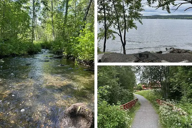 Kollage med naturbilder