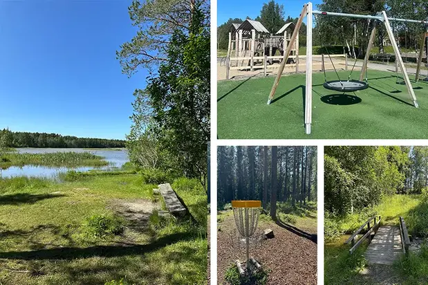 Kollage med naturbilder