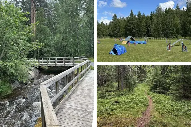 Kollage med naturbilder