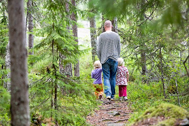 En man går i skogen tillsammans med två barn