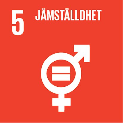 Mål 5 globala målen - jämställdhet